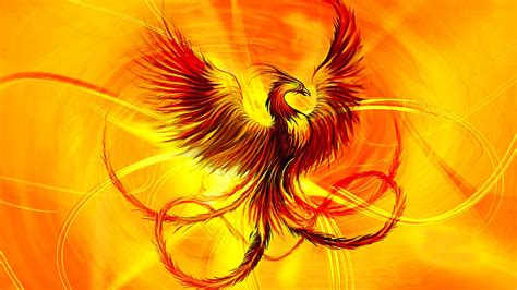 24 Phoenix Bird Hd Images Free Download Background