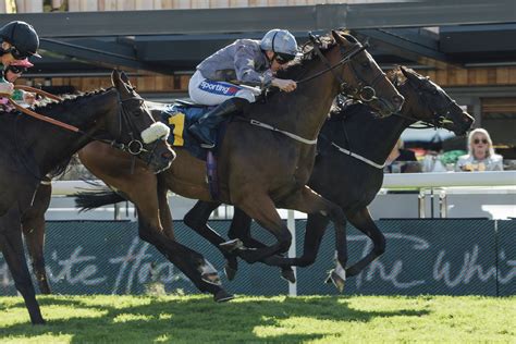 Boodles May Festival Tote Chester Cup Day Preview Latest News