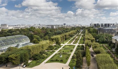 Musée d'histoire naturelle paris : visite, horaires, tarifs - Tout