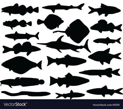 Fish Silhouettes Royalty Free Vector Image Vectorstock