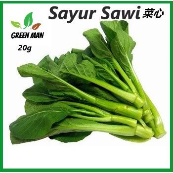 Tidied, kai choy, chey sim, vegetable, sawi hijau, bind mustard, mustard green. (20g) Seed of Sayur Sawi Choy Sum/ Cai Xin Vegetable ...