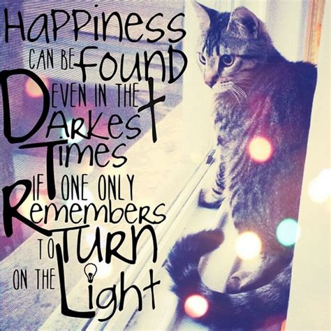 32 Inspirational Quotes With Cat Images Best Quote Hd