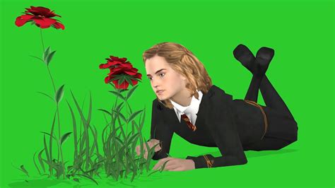 Personaje De Harry Potter Green Screen Youtube