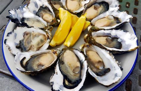 Where to Find the Best Oysters in Tasmania | The Vanabond Tales
