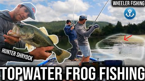 My Favorite Time Of The Year For Topwater Frog Fishing Youtube