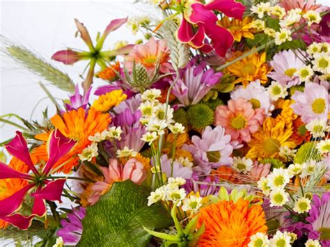 Flowers absorb water through their roots. Top 5 long lasting flowers - Playing With Flowers