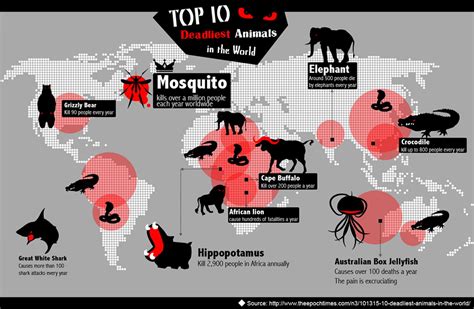 The Worlds Most Dangerous Animals Infographic Neat Infographics