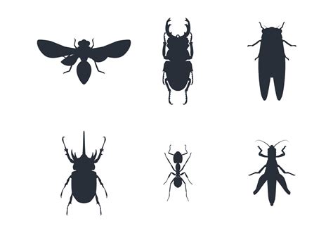 Insect Silhouette Set 165465 Vector Art At Vecteezy