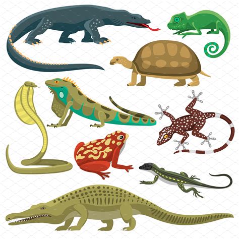 Álbumes 99+ Foto De Que Se Alimentan Los Reptiles Lleno