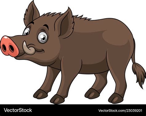 Feral Pig Cartoon
