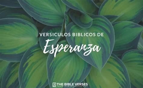 50 Versículos De La Biblia De Esperanza Textos Bíblicos