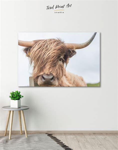 Highland Cow Canvas Wall Art Texelprintart Cow Wall Art Highland