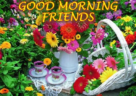 Romantic flower good morning card. Good Morning messages for friends and family
