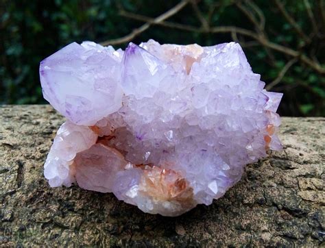 Fairy quartz is a fledgling spirit quartz, from south africa, showing the milky white lazer wand point and a light coating of smaller crystals growing on it. Free Shipping - Large Amethyst Citrine Cactus Quartz ...