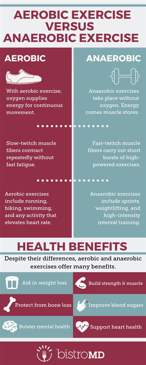 The Difference Between Aerobic And Anaerobic Exercises Anaerobic