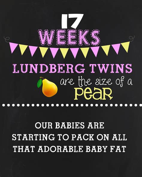 17 Weeks Pregnant With Twins Update Budget Savvy Diva