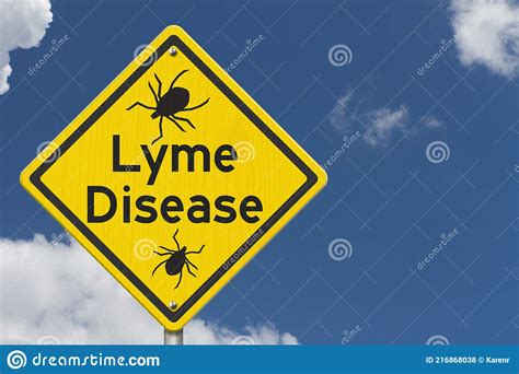 Lyme Disease Warning On A On Yellow Highway Caution Road Sign Stock