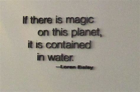 Importance Of Water Quotes. QuotesGram