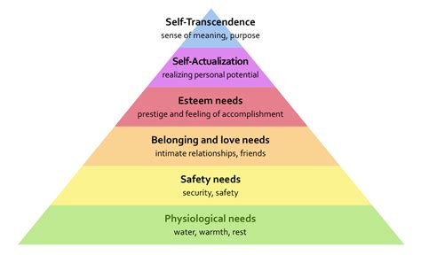 The Concept Of Self Transcendence