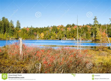 Beautiful Lake Surrounded By Autumnal Trees Stock Image Image Of