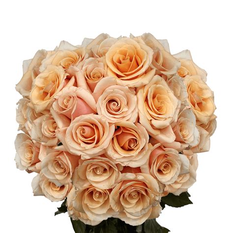 Choose Your Quantity Of Roses Rose Peach Roses Best Roses