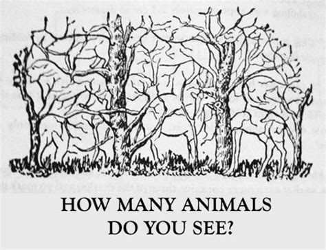 How Many Animals Can You See