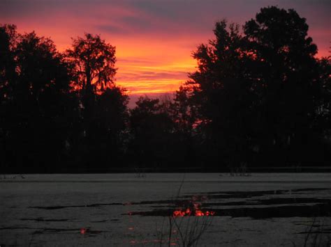 Beckys Sunrise Over Alligator Lake Photograph By Roy Erickson Fine
