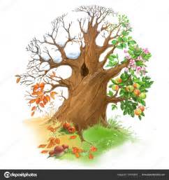 Quatre saisons arbres vecteur papier peint papiers peints 4. Arbre aux 4 saisons branches — Photographie AnnaNenasheva © #157319610