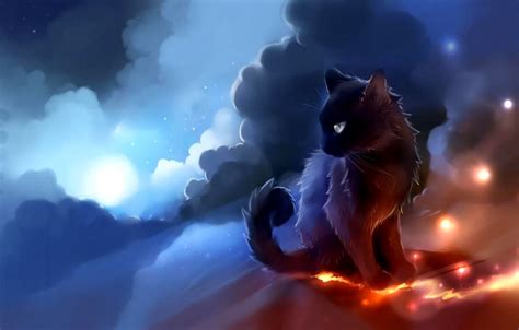Warrior Cat 1080p Best Wallpapers Hd Collection