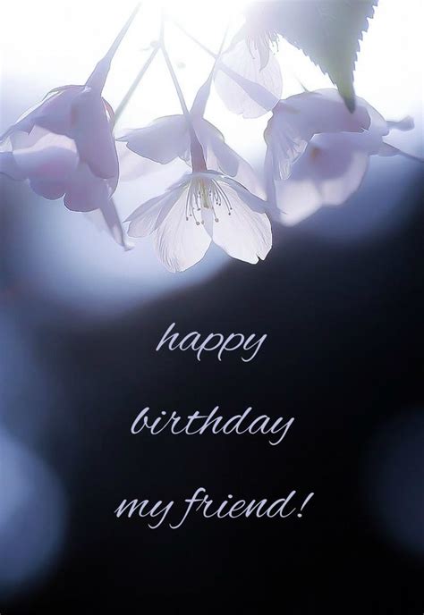 This free original version by 1 happy birthday replaces the traditional happy birthday to you song and can be downloaded free as a. 1000+ images about Birthday Humor on Pinterest | Birthday ...