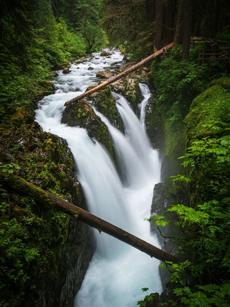 Hiking The Sol Duc Falls Trail In Olympic National Park Parks And Trips