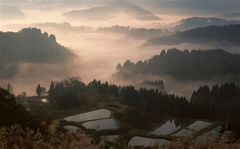 nature, Landscape, Mist, Sunrise, Valley, Forest, Mountain, Terraces, Water, Trees, Japan ...