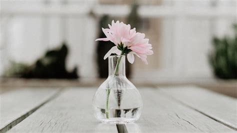 Download Wallpaper 3840x2160 Flower Pink Vase Glass 4k Uhd 169 Hd Background