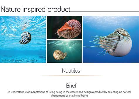 Free download hd & 4k quality beautiful nature photo wallpapers. Nature inspired design on Behance