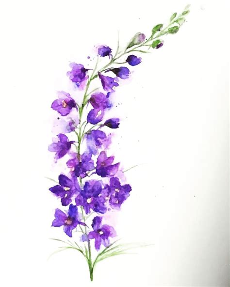 Watercolor Painting Of Purple Flowers On White Background