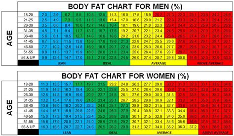 Visual Body Fat Percentage Chart