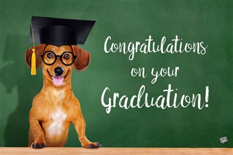 100 Graduation Wishes You Totally Deserve This