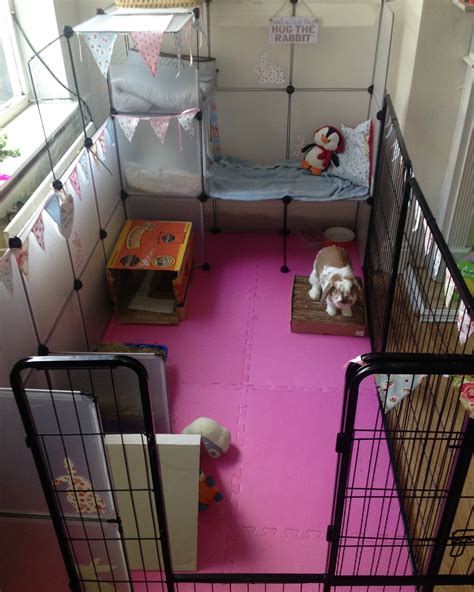 Indoor Rabbit Cageenclosure Indoor Rabbit Diy Bunny Cage Bunny Cages