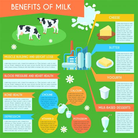 Health Benefits Of Milk And Dairy Low Fat Products Consumption