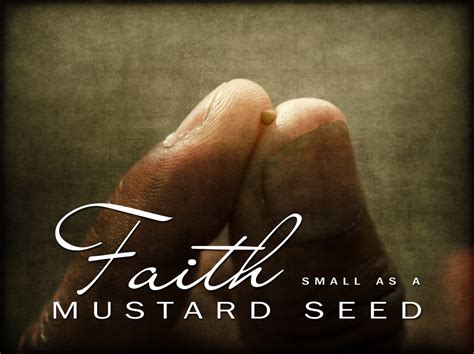 Parable 27 The Kingdom Is Like A Mustard Seed 1 Glory Knowledge