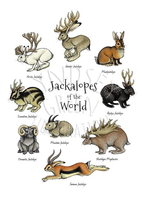 Jackalopes Of The World A4 Print Etsy Mythical Creatures Art