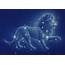 Free Leo 2012 Horoscope And Astrology Predictions  Timepass Fun