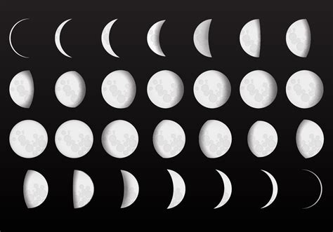 Moon Phase Vector Art Icons And Graphics For Free Download