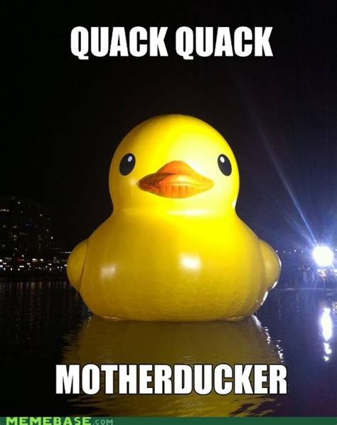 I see a duck running at very high speeds, i edit and make initial d meme the original duck video was made. Splish Splash, Suckers - Memebase - Funny Memes