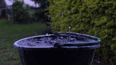 chuvas intensas veja como reaproveitar a água em casa vigia