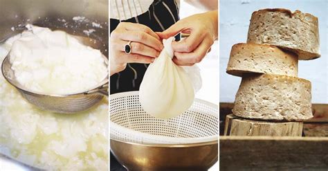 5 Steps To Start A Homemade Cheese Making Routine