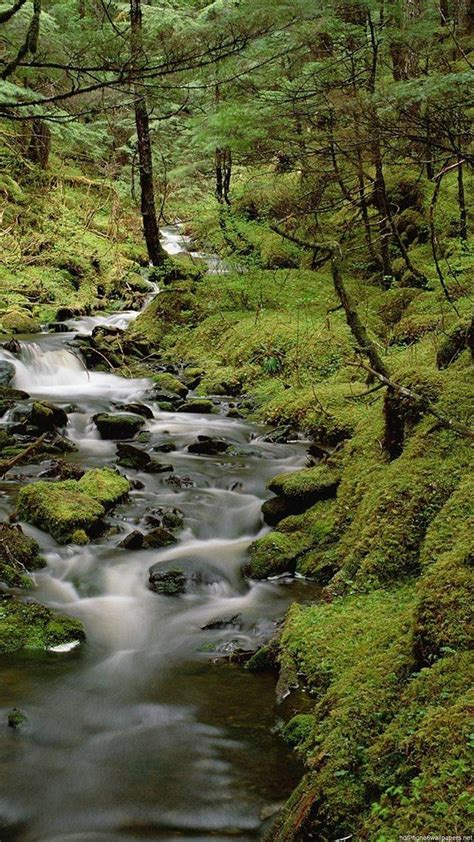A collection of the top 51 rain 4k wallpapers and backgrounds available for download for free. Nature Rain Wallpaper ·① WallpaperTag