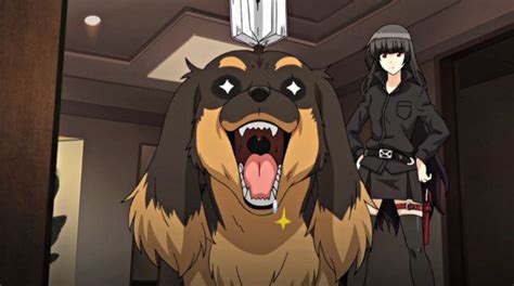 First Impressions Dog And Scissors Dog And Scissors Anime Dogs