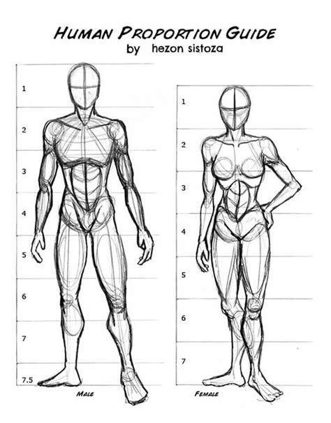 19 Human Anatomy Drawing Ideas And Pose References Beautiful Dawn Designs Human Anatomy