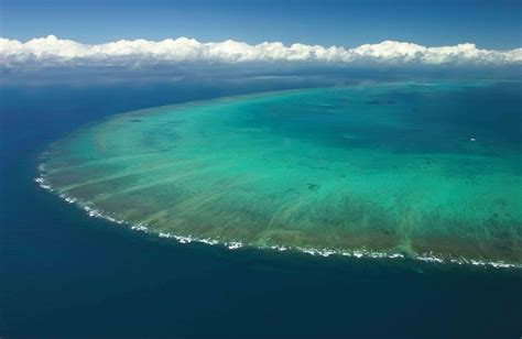 Cairns Best Value Reef Trip 35 Hours Outer Great Barrier Reef Tour